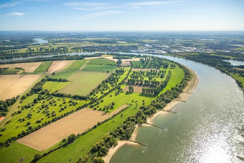 Aerial view, nature reserve Himmelgeister Rheinbogen, meadows and fields and green trees,