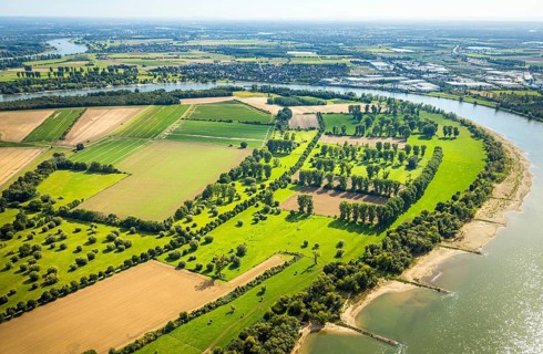 Aerial view, nature reserve Himmelgeister Rheinbogen, meadows and fields and green trees,