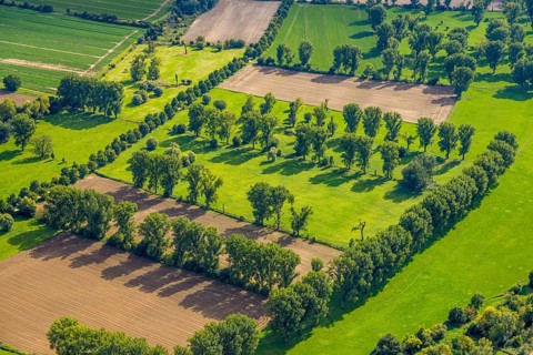 Aerial view, nature reserve Himmelgeister Rheinbogen, meadows and fields and green trees,