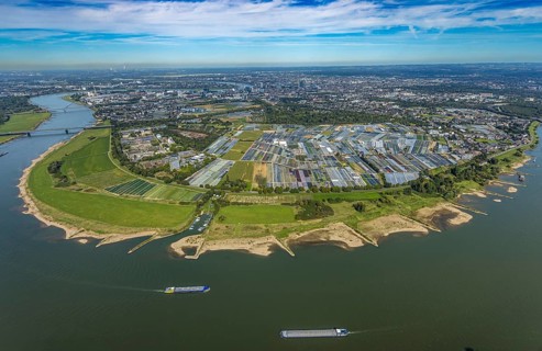 Aerial view, Rhine bend and district Volmerswerth, horticultural farms and agricultural use in the