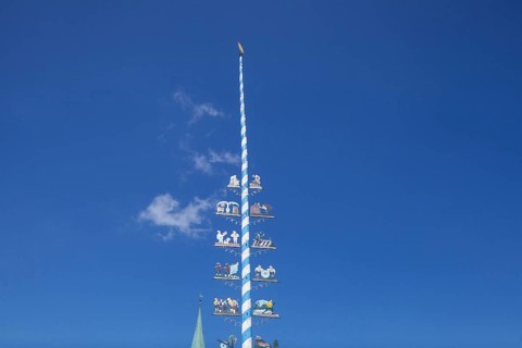 Maypole on the village square, Törwang, Samerberg, Chiemgau, Upper Bavaria, Bavaria, Germany