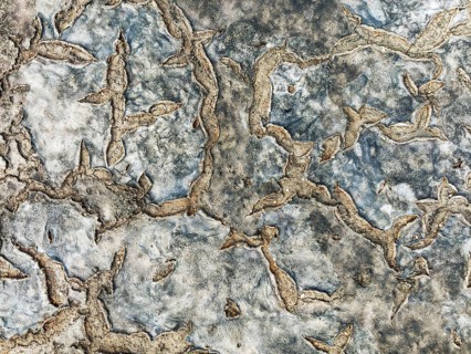 Dried mud in the marshland of the Bahía de Cádiz Nature Reserve. Aerial view. Drone shot. Cádiz