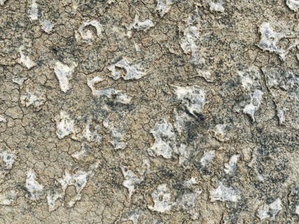 Dried mud in the marshland of the Bahía de Cádiz Nature Reserve. Aerial view. Drone shot. Cádiz