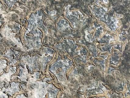 Dried mud in the marshland of the Bahía de Cádiz Nature Reserve. Aerial view. Drone shot. Cádiz