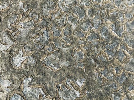 Dried mud in the marshland of the Bahía de Cádiz Nature Reserve. Aerial view. Drone shot. Cádiz