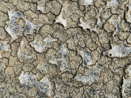 Dried mud in the marshland of the Bahía de Cádiz Nature Reserve. Aerial view. Drone shot. Cádiz