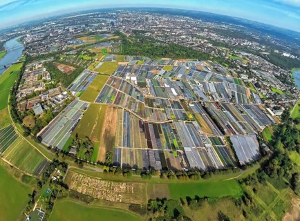 Aerial view, horticulture and agricultural use in the district of Volmerswerth, shapes and colours,