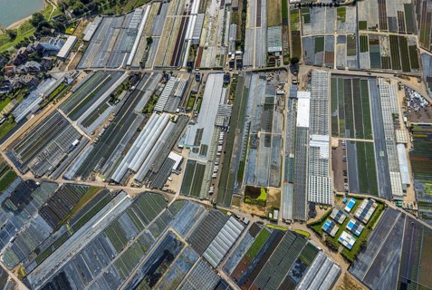 Aerial view, horticultural farms and agricultural use in the district of Volmerswerth, shapes and