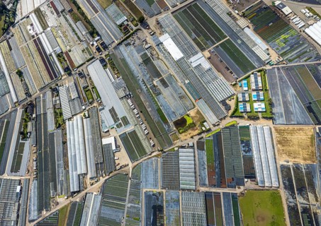 Aerial view, horticultural farms and agricultural use in the district of Volmerswerth, shapes and