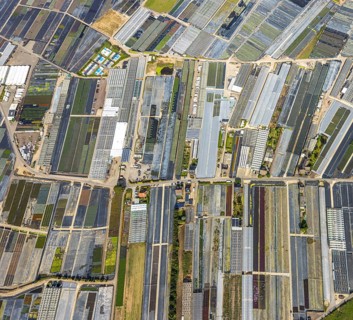 Aerial view, horticultural farms and agricultural use in the district of Volmerswerth, shapes and