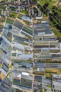 Aerial view, horticultural farms and agricultural use in the district of Volmerswerth, shapes and