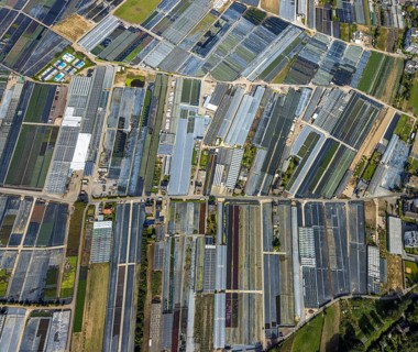Aerial view, horticultural farms and agricultural use in the district of Volmerswerth, shapes and