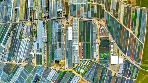 Aerial view, horticulture and agricultural use in the district of Volmerswerth, shapes and colours,