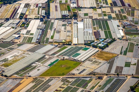 Aerial view, horticultural farms and agricultural use in the district of Volmerswerth, shapes and