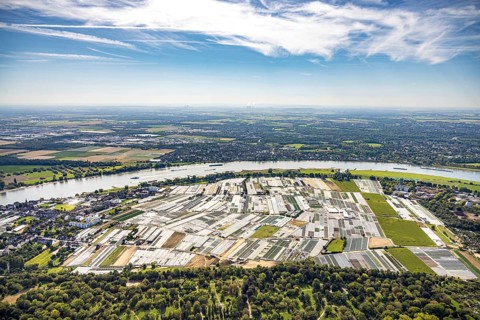 Aerial view, horticultural farms and agricultural use in the district of Volmerswerth, shapes and