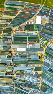 Aerial view, horticulture and agricultural use in the district of Volmerswerth, shapes and colours,
