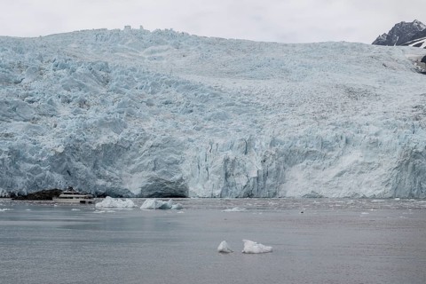 Holgate Glacier, Kenai Fjords National Park, Alaska, USA