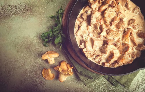 Fried chanterelle mushrooms, in cream sauce, in a cast-iron pan, homemade, no people