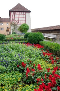 Flower bed at Comburg Castle, Benedictine monastery, Way of St James, pilgrimage route, pilgrims,