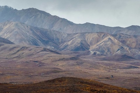 Mountain range, Polychrome Range, Denali National Park, Alaska, USA