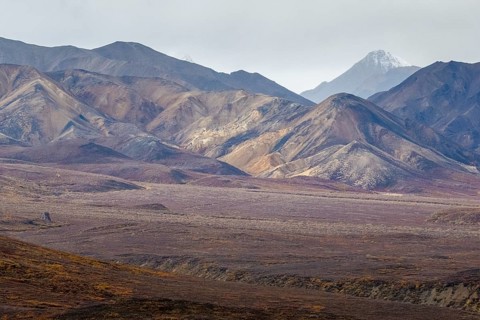 Mountain range, Polychrome Range, Denali National Park, Alaska, USA