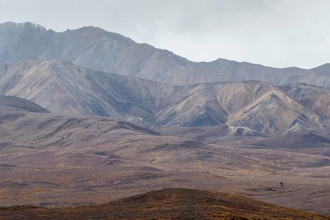Mountain range, Polychrome Range, Denali National Park, Alaska, USA