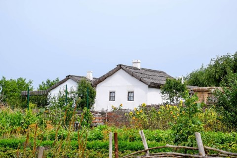Adobe hut with a roof of reeds. Taman, Krasnodar Krai, Russia