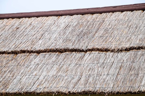 The slope of the roof of reeds and straw. Taman, Krasnodar Krai, Russia