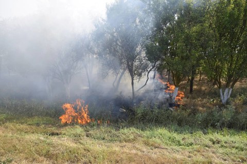 Fire in the forest. Fire and smoke in the forest litter. Atyrau, Kazakhstan