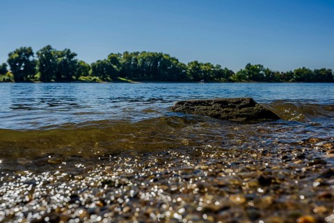 The gentle waves reflect the sunlight while a rock stands in the water. Shoreline vegetation