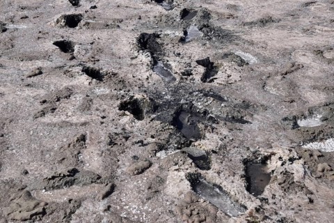 Traces of human feet in the salt lake of mud. Taman, Krasnodar Krai, Russia