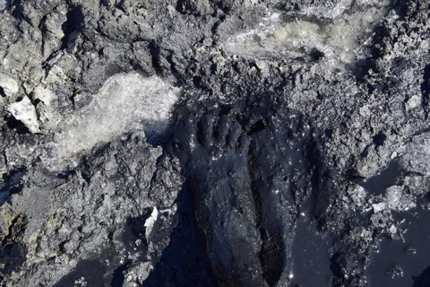 Human foot in the mud and salt lake brine. Taman, Krasnodar Krai, Russia