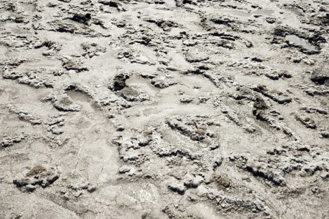 The crust of salt on the bottom of the curative mud dry lake. Taman, Krasnodar Krai, Russia
