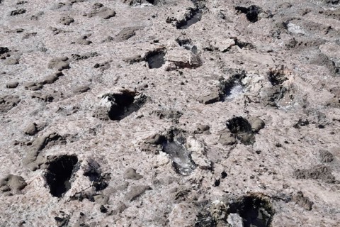 Traces of human feet in the salt lake of mud. Taman, Krasnodar Krai, Russia