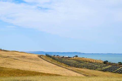 The landscape at the Cossack village, a museum Ataman. Taman, Krasnodar Krai, Russia