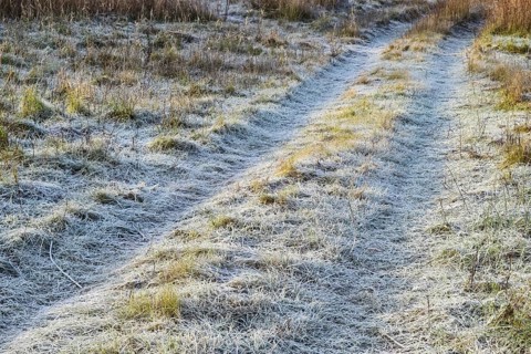 The road to the frosted grass. Krasnodar, Russia