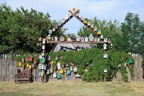 Birdhouses, the houses for birds. Taman, Krasnodar Krai, Russia