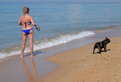 Woman with a dog on the beach by the sea. Golubitskaya, Russia