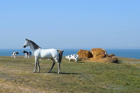 White horse, Figures of horses made of plastic on the lawn. Taman, Krasnodar Krai, Russia