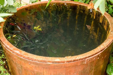 Wooden barrel filled with water. Taman, Krasnodar Krai, Russia