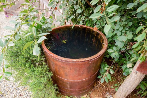 Wooden barrel filled with water. Taman, Krasnodar Krai, Russia