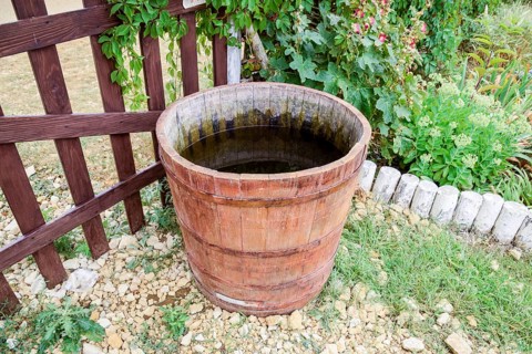 Wooden barrel filled with water. Taman, Krasnodar Krai, Russia