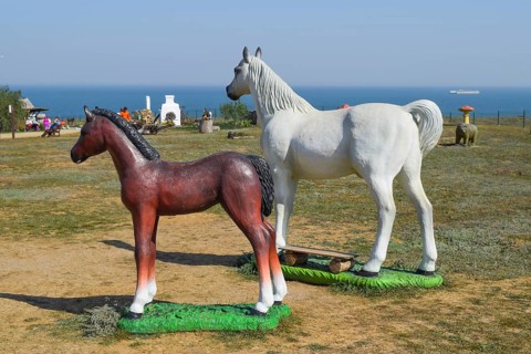 White horse and brown foal. Taman, Krasnodar Krai, Russia