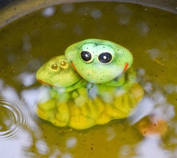Statue of a toy frog with a frog underwater in a pond. Taman, Krasnodar Krai, Russia