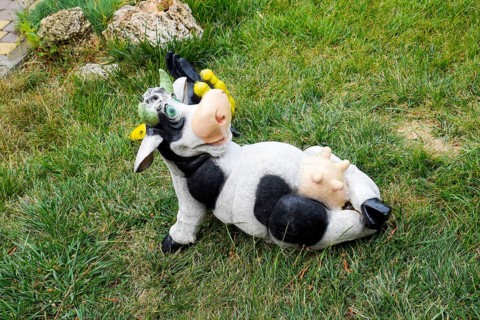 Toy cow lying upside udder. Taman, Krasnodar Krai, Russia
