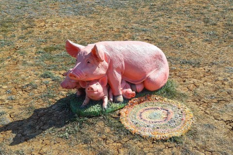 Plastic toy pig. Taman, Krasnodar Krai, Russia