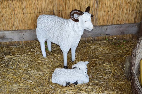 Mannequins and kid goats in the barn. Taman, Krasnodar Krai, Russia