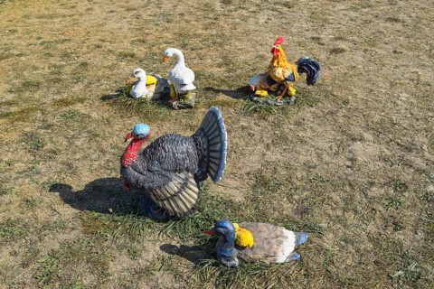 Toy turkeys and chickens in the meadow. Taman, Krasnodar Krai, Russia