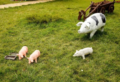 Plastic toy pig. Taman, Krasnodar Krai, Russia