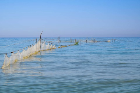 Fishing nets set in the sea. Golubitskaya, Russia